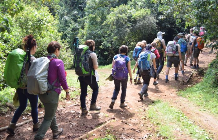 7-days-lemosho-route-climb-kilimanjaro