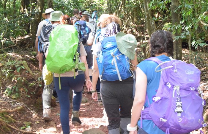 6-days-marangu-route-climb-kilimanjaro
