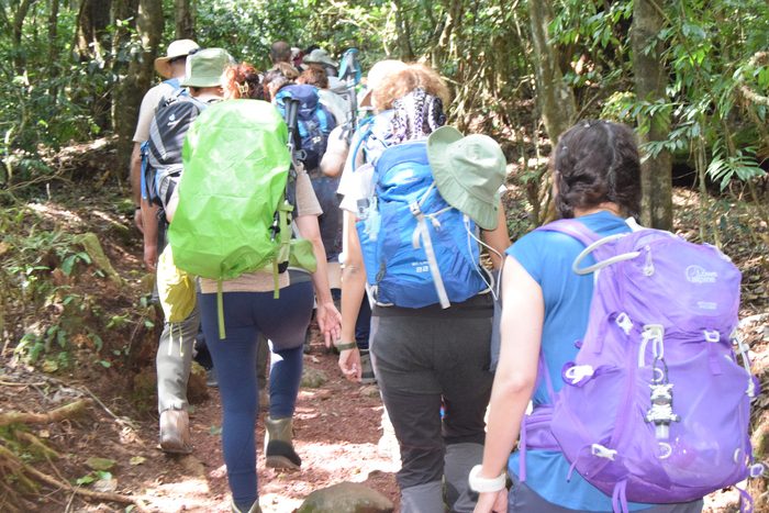 6-days-marangu-route-climb-kilimanjaro